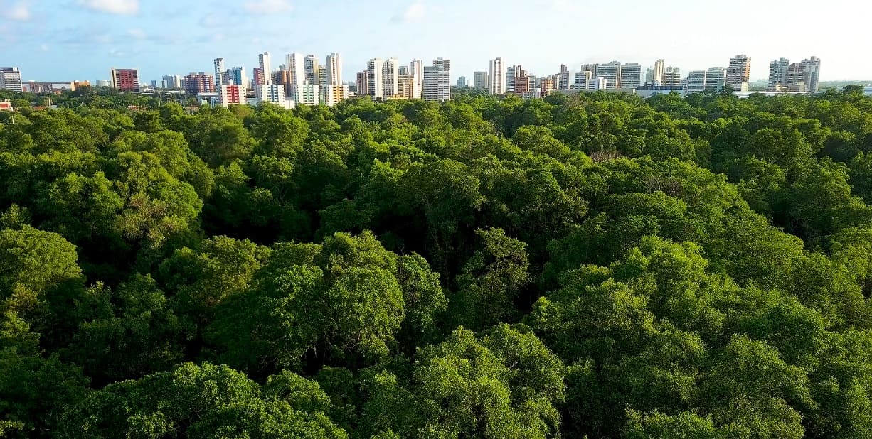 Sostenibilidad y criterios ESG